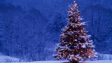 nature christmas wallpaper|free nature desktop wallpapers backgrounds.